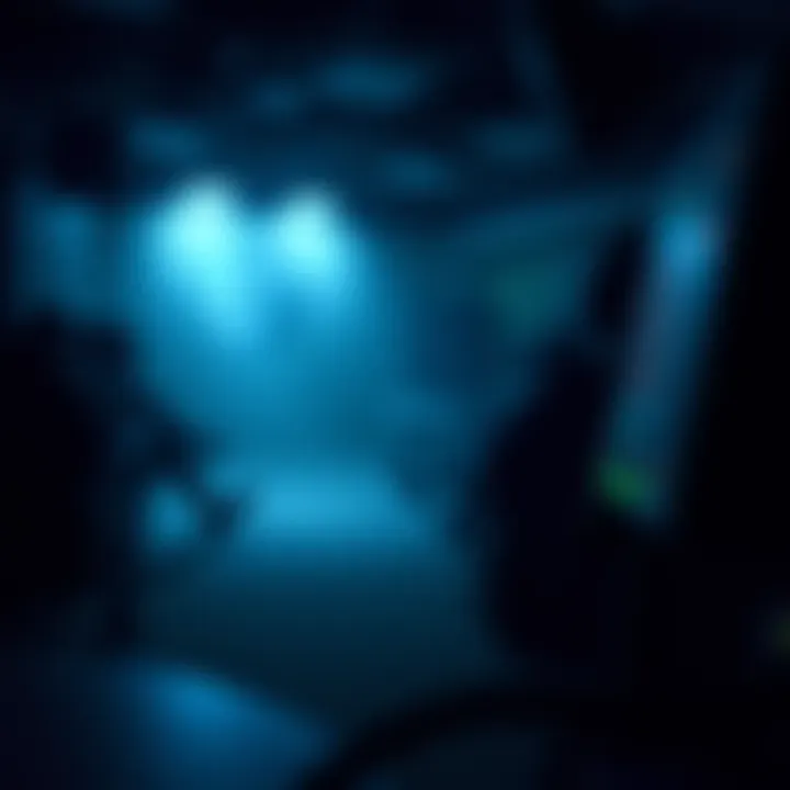 Atmospheric Gaming Environment A dark, atmospheric gaming environment enhanced by eerie music.