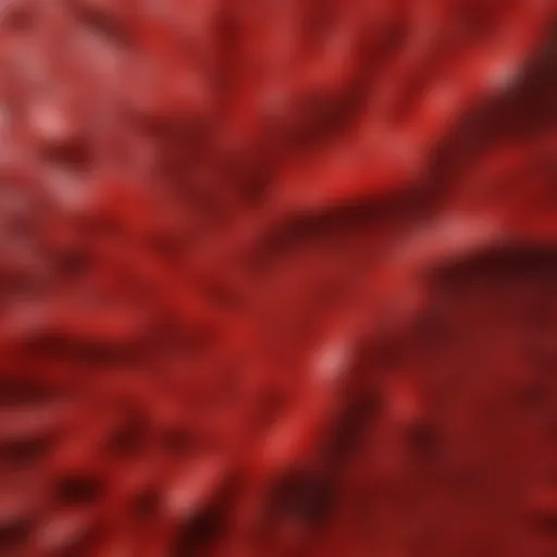 Abstract painting showcasing the intensity of the color red