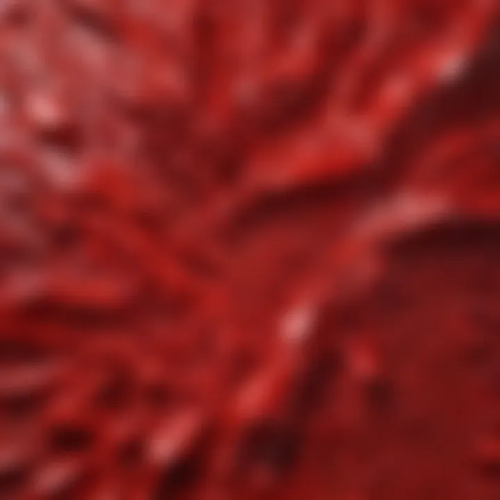 Abstract painting showcasing the intensity of the color red