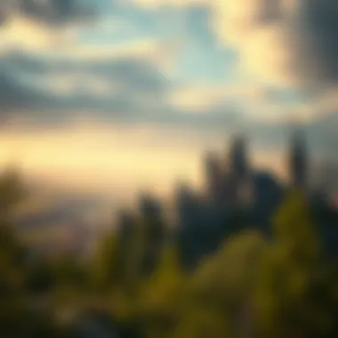 A captivating medieval landscape featuring castles and armies