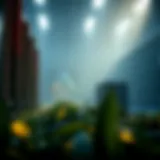 An overview of Ark server configurations on PC