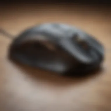 Fingertip Customization Customization at Your Fingertips