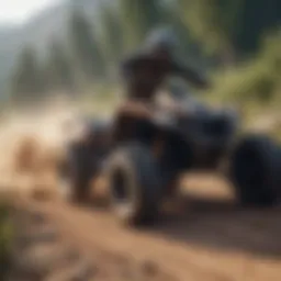 Exciting four-wheeler game in action