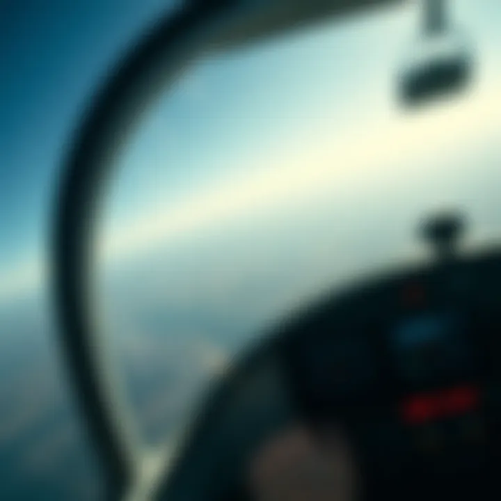 An engaging screenshot of a flight simulator in action