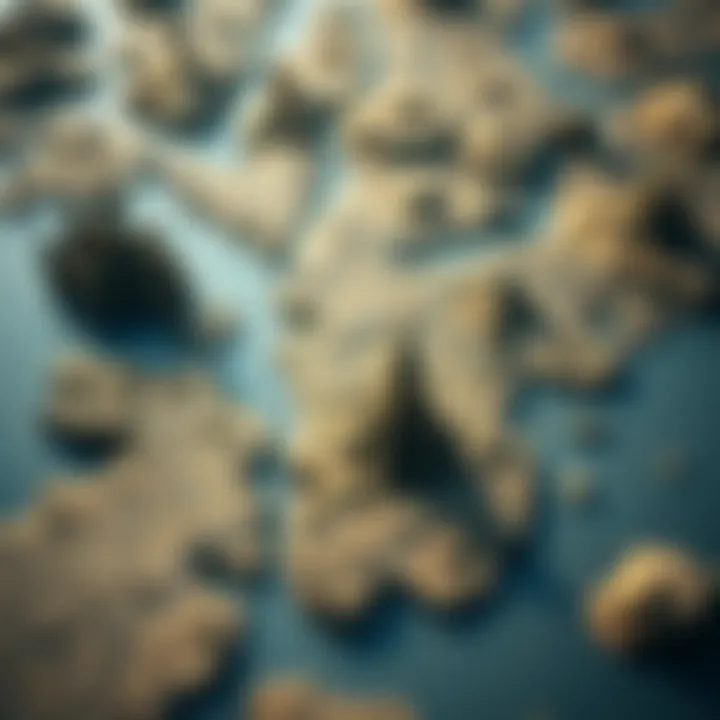 The Vast Landscape of Skyrim An intricate map of Skyrim detailing various regions