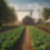 Vibrant virtual farm with innovative crops and structures