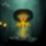 Symbolic representation of Ber rune