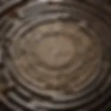 Intricate Coin Maze